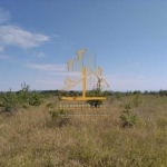 Парцел в Варна, м-т Боровец - юг - 4000 кв.м за 25 €/кв.м - Снимка #1