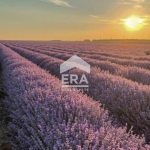 Промишлена сграда в с. Конуш, Област Хасково - 4500 кв.м за 32 €/кв.м - Снимка #1