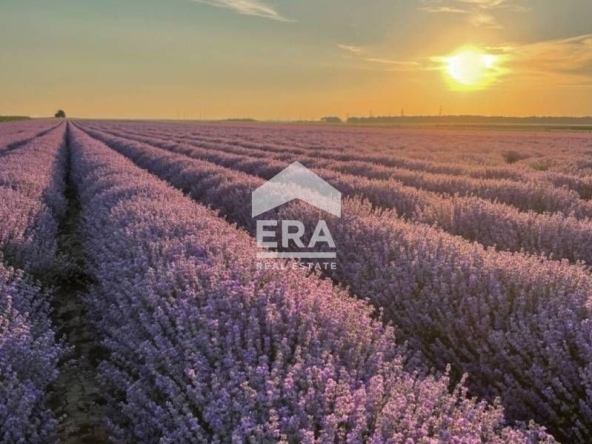 Промишлена сграда в с. Конуш, Област Хасково - 4500 кв.м за 32 €/кв.м - Снимка #1