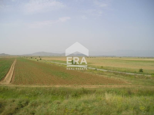 Парцел в с. Близнаци, Област Варна - 2655 кв.м за 38 €/кв.м - Снимка #1