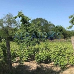 Парцел в Варна, м-т Боровец - север - 1050 кв.м за 30 €/кв.м - Снимка #1