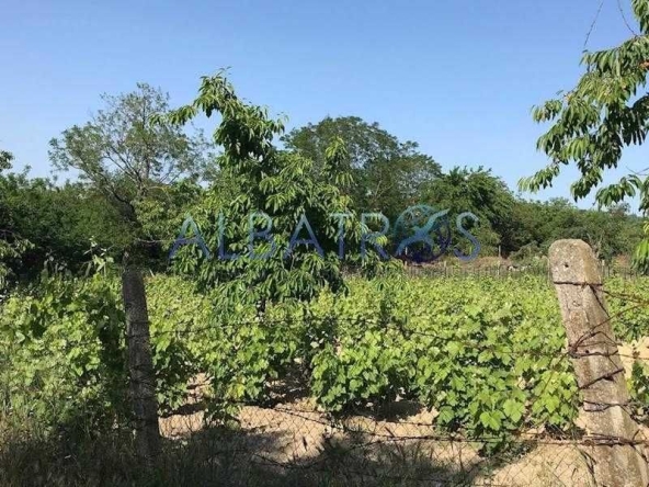 Парцел в Варна, м-т Боровец - север - 1050 кв.м за 30 €/кв.м - Снимка #1