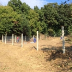 Парцел в Варна, м-т Боровец - юг - 488 кв.м за 62 €/кв.м - Снимка #1