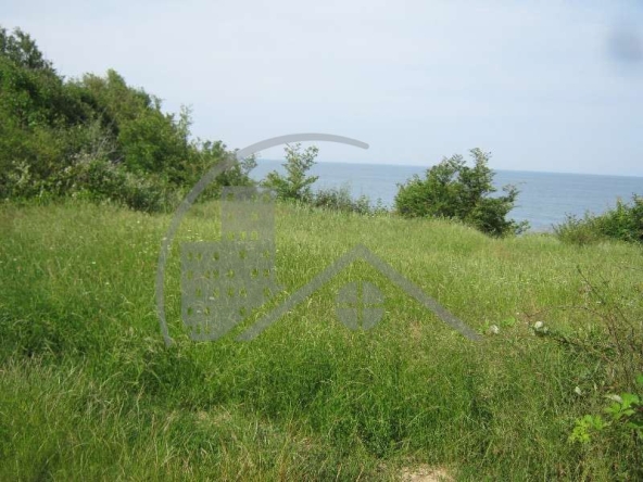 Парцел в с. Самотино, Област Варна - 1396 кв.м за 21 €/кв.м - Снимка #1