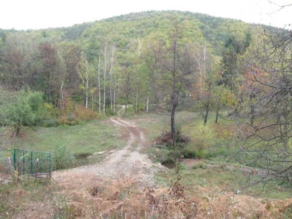 Парцел в София, Красно село - 41600 кв.м за 3 €/кв.м - Снимка #1