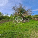 Парцел в с. Дюлино, Област Варна - 1196 кв.м за 9 €/кв.м - Снимка #1