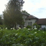 Къща в с. Бутово, Област Велико Търново - 150 кв.м за 170 €/кв.м - Снимка #1