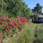 Парцел в Добрич, Център - 500 кв.м за 41 €/кв.м - Снимка #1