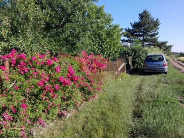 Парцел в Добрич, Център - 500 кв.м за 41 €/кв.м - Снимка #1