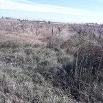 Парцел в с. Марково, Област Пловдив - 4240 кв.м за 57 €/кв.м - Снимка #1