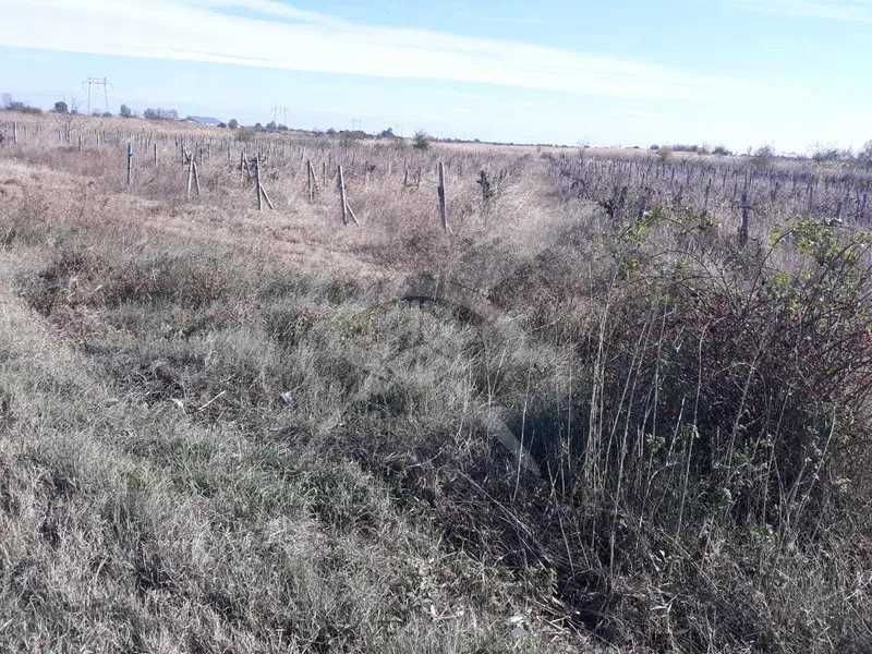 Парцел в с. Марково, Област Пловдив - 4240 кв.м за 57 €/кв.м - Снимка #1