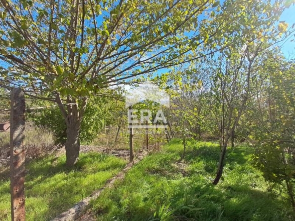 Парцел в с. Доброглед, Област Варна - 619 кв.м за 59 €/кв.м - Снимка #1