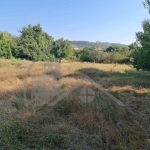 Парцел в с. Слънчево, Област Варна - 652 кв.м за 27 €/кв.м - Снимка #1