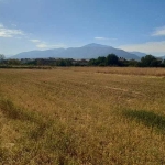 Парцел в Асеновград - 1500 кв.м за 22 €/кв.м - Снимка #1