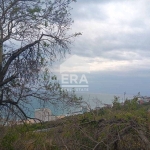 Парцел в с. Осеново, Област Варна - 1049 кв.м за 27 €/кв.м - Снимка #1