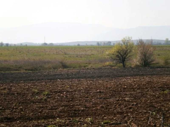 Земеделски имот в с. Червенаково, Област Сливен -  кв.м за 2076 €/дка - Снимка #1