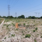 Парцел в с. Браниполе, Област Пловдив - 10000 кв.м за 80 €/кв.м - Снимка #1