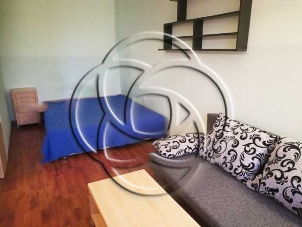 Дава се под наем Двустаен апартамент в София, Бъкстон - 23 кв.м за 240 € - Снимка #1