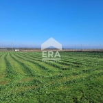 Парцел в с. Кичево, Област Варна - 4968 кв.м за 28 €/кв.м - Снимка #1