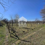 Земеделски имот в Русе, в.з. Касева Чешма -  кв.м за 24 €/дка - Снимка #1