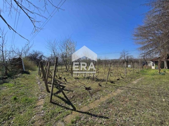 Земеделски имот в Русе, в.з. Касева Чешма -  кв.м за 24 €/дка - Снимка #1