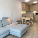 Дава се под наем Двустаен апартамент в София, Витоша - 76 кв.м за 433.5 € - Снимка #1