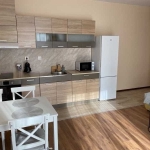 Дава се под наем Двустаен апартамент в София, Кръстова вада - 65 кв.м за 600 € - Снимка #1