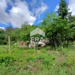 Парцел в с. Кипра, Област Варна - 1058 кв.м за 43 €/кв.м - Снимка #1