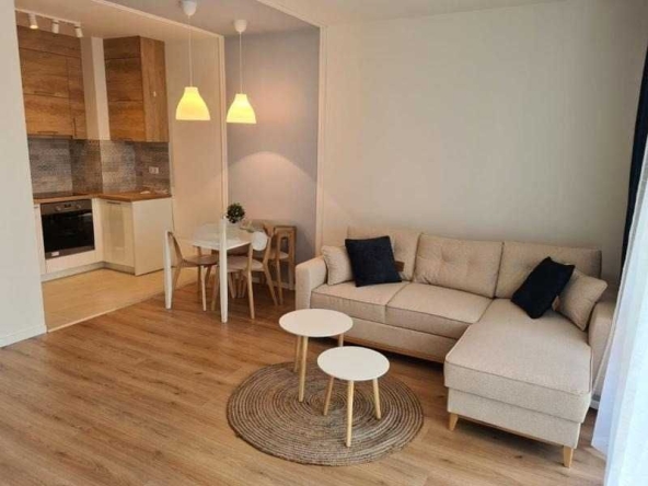 Дава се под наем Двустаен апартамент в София, Витоша - 70 кв.м за 459 € - Снимка #1