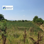 Парцел в Койнаре - 1420 кв.м за 10 €/кв.м - Снимка #1