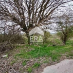 Парцел в с. Добрина, Област Варна - 5998 кв.м за 6 €/кв.м - Снимка #1