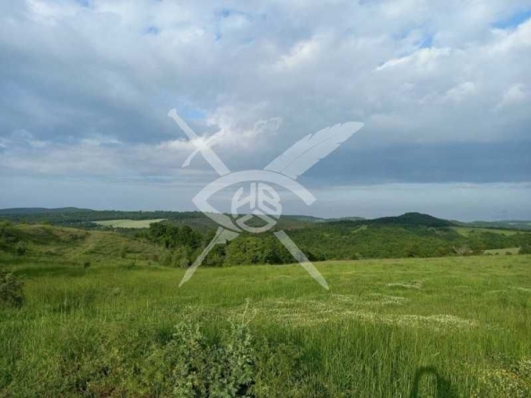 Парцел в с. Черни връх, Област Бургас - 1098 кв.м за 37 €/кв.м - Снимка #1