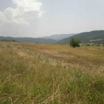 Земеделски имот в с. Джурово, Област София-област -  кв.м за 1529 €/дка - Снимка #1