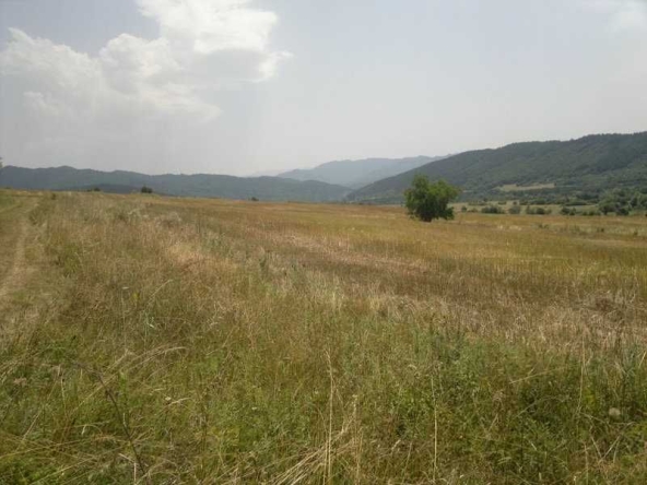 Земеделски имот в с. Джурово, Област София-област -  кв.м за 1529 €/дка - Снимка #1