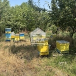 Парцел в с. Момчилово, Област Варна - 1720 кв.м за 25 €/кв.м - Снимка #1