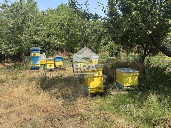 Парцел в с. Момчилово, Област Варна - 1720 кв.м за 25 €/кв.м - Снимка #1