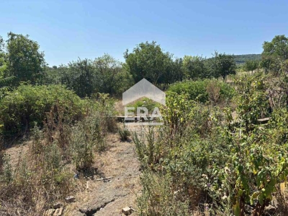 Парцел в с. Комарево, Област Варна - 1750 кв.м за 12 €/кв.м - Снимка #1