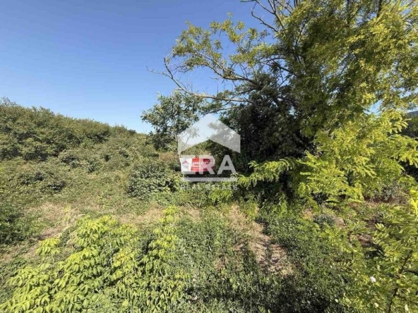 Парцел в с. Тополи, Област Варна - 5061 кв.м за 124 €/кв.м - Снимка #1