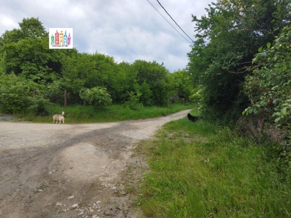 Парцел в с. Вакарел, Област София-област - 2500 кв.м за 18 €/кв.м - Снимка #1