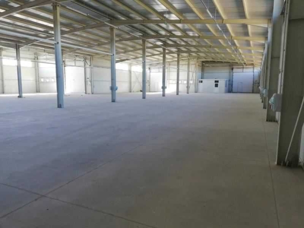 Дава се под наем Склад в с. Строево, Област Пловдив - 2000 кв.м за 9000 € - Снимка #1