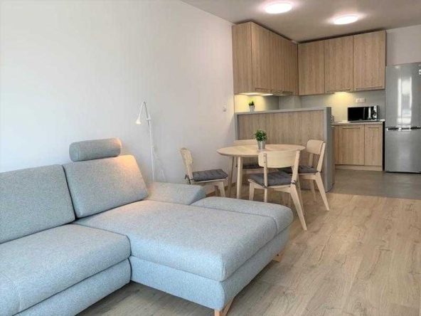 Дава се под наем Двустаен апартамент в София, Дървеница - 64 кв.м за 350 € - Снимка #1