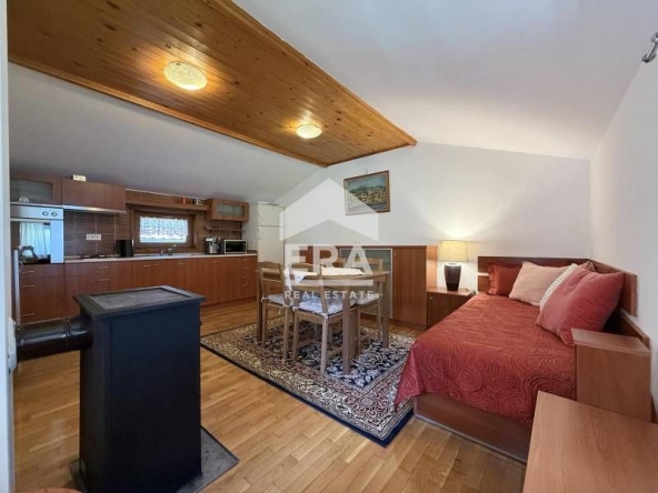 Дава се под наем Двустаен апартамент в София, Симеоново - 45 кв.м за 500 € - Снимка #1