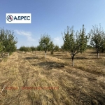 Парцел в с. Нефела, Област Враца - 8000 кв.м за 7 €/кв.м - Снимка #1