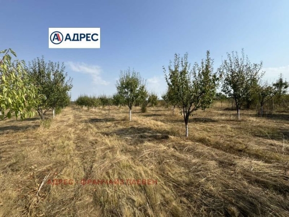 Парцел в с. Нефела, Област Враца - 8000 кв.м за 7 €/кв.м - Снимка #1