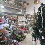 Дава се под наем Магазин в Ловеч, Широк център - 151 кв.м за 1022 € - Снимка #1