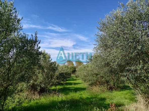 Парцел в София, Гео Милев - 2000 кв.м за 8 €/кв.м - Снимка #1