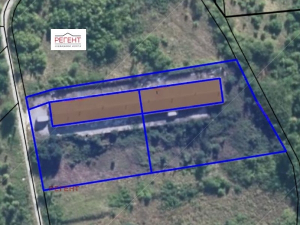 Промишлена сграда в Дряново - 6000 кв.м за 19 €/кв.м - Снимка #1