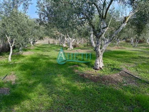 Парцел в София, Гео Милев - 1437 кв.м за 9 €/кв.м - Снимка #1