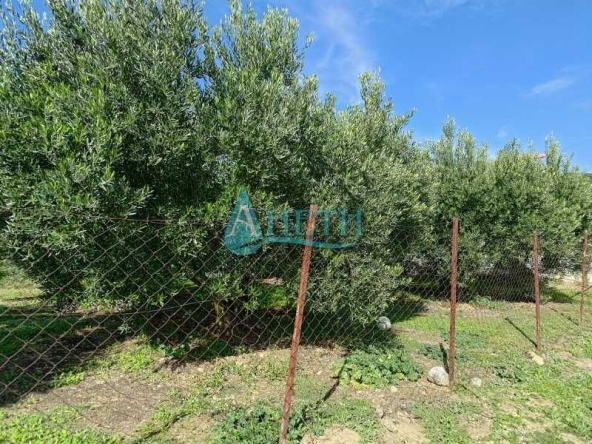 Парцел в София, Гео Милев - 1000 кв.м за 10 €/кв.м - Снимка #1