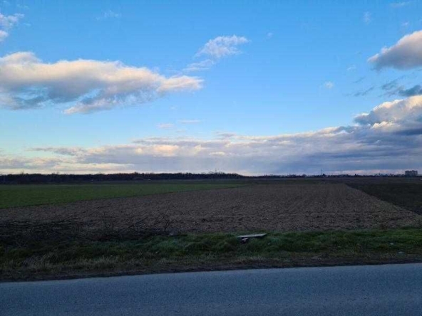 Парцел в с. Строево, Област Пловдив - 4499 кв.м за 17 €/кв.м - Снимка #1